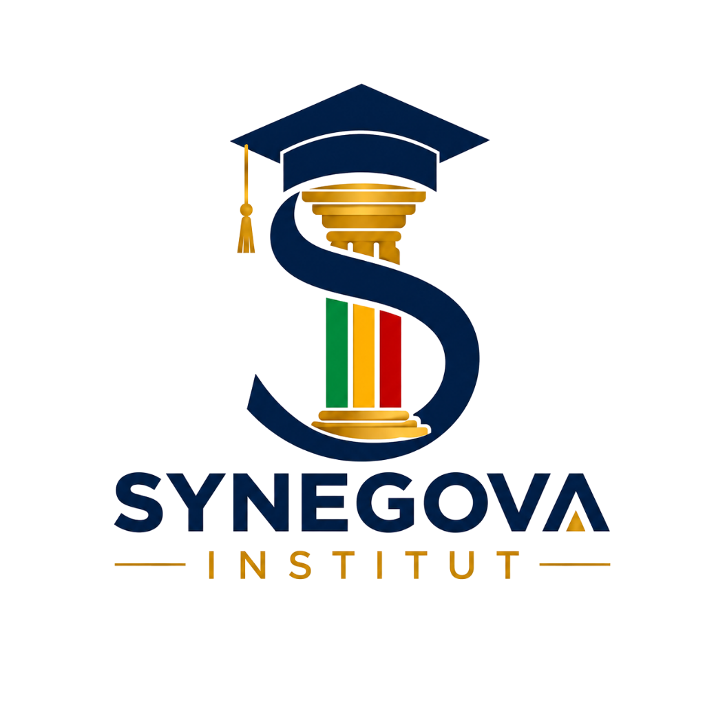 SYNEGOVA logo